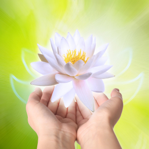 Health Wellbeing
