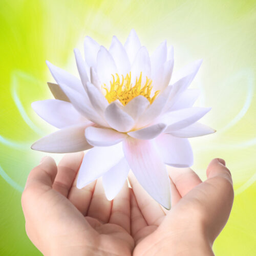 Reiki Redland Bay