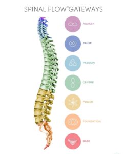 Diagram showing Spinal Flow Gateways