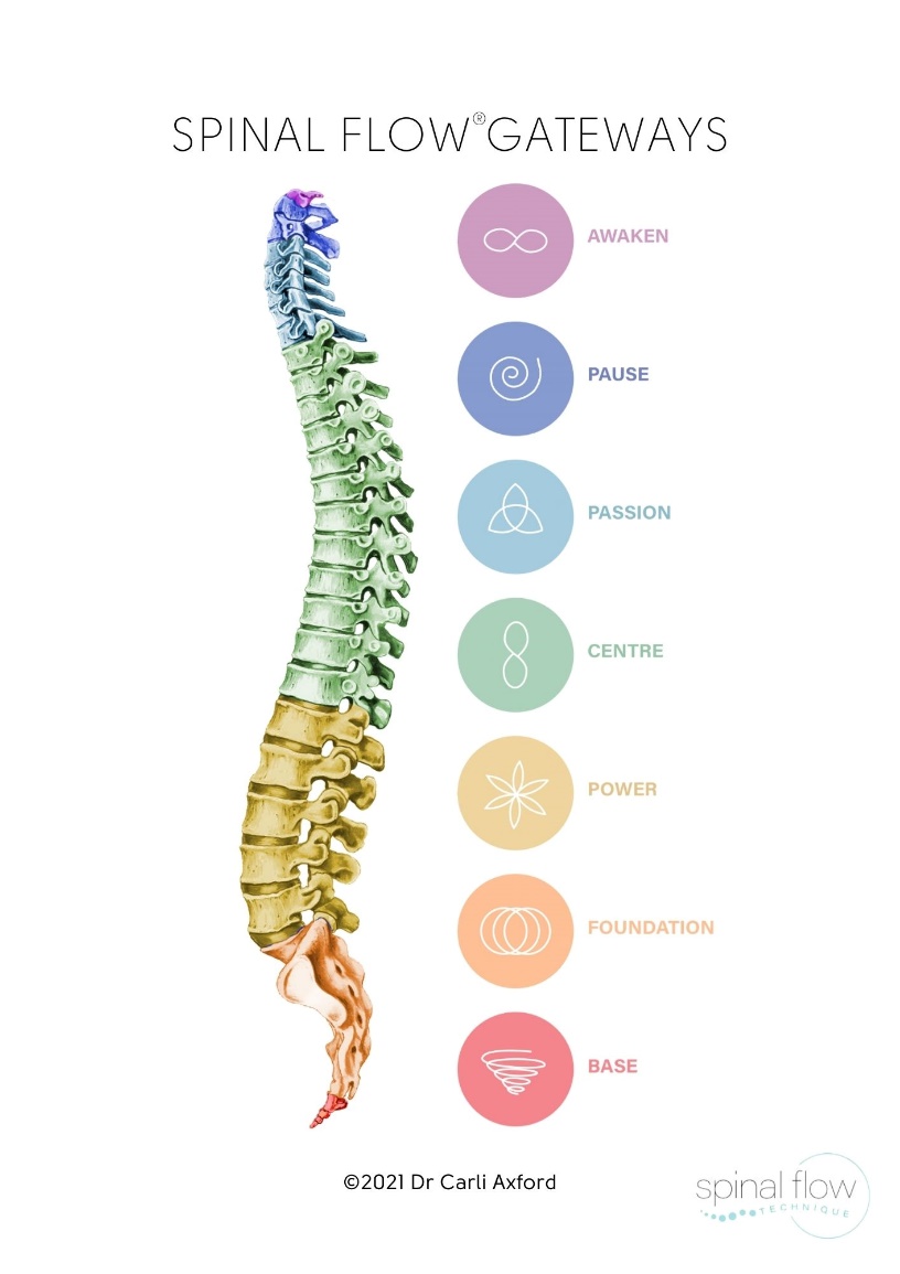 Diagram showing Spinal Flow Gateways